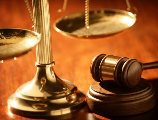 Miškų grupių keitimas: kokias galimybes turi miškų savininkai, valdytojai ir naudotojai dalyvauti miškų grupių keitimo procese?
