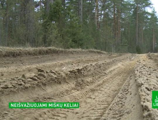 LRT laidoje „Laba diena, Lietuva!“- apie miško kelių tvarkymą