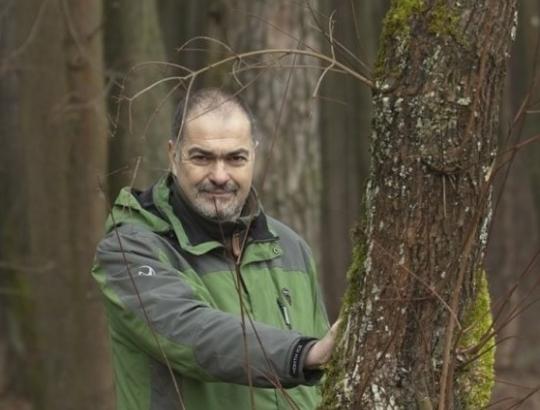 G.Kadžiulis: Apie ypatingai saugomus miškus ir tokio saugojimo pasekmes.