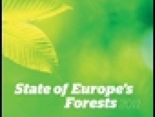 Europos miškų būklės 2011 m. analizė rodo- ūkininkaujama darnai ir atsakingai
