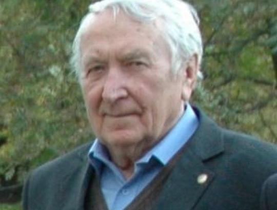 prof.A.Morkevičius: Lietuvos medienos sektorius 2011 metų pradžioje