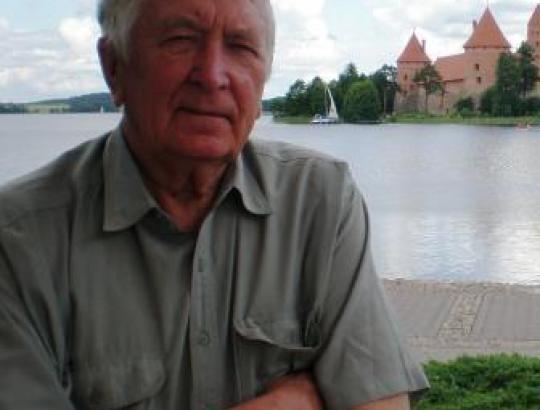 prof.A.Morkevičius: Lietuvos medienos sektorius 2011 metų pirmą pusmetį