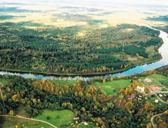Vietos bendruomenės: Punios šilas – palikime ilsėtis ramybėje?
