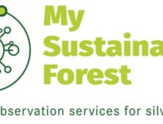 Aptarti projekto "Mano tvarus miškas" tarpiniai rezultatai