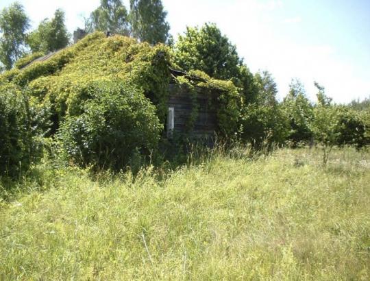 G.Serafinas: Gamtosaugininkai baigia sukurti erkių Lietuvą