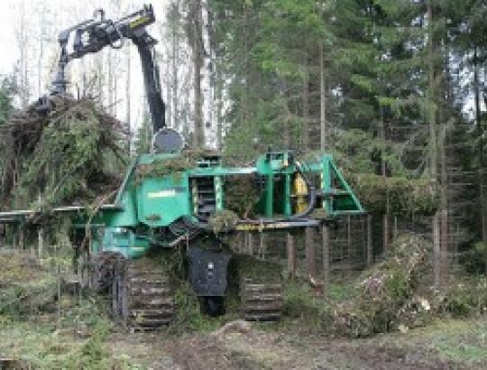 Užsibrėžta daugiau kirtimo atliekų naudoti biokurui