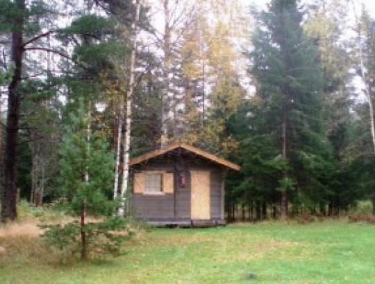 Seimas po svarstymo pritarė Miškų įstatymo pakeitimams dėl buvusių sodybų atstatymo