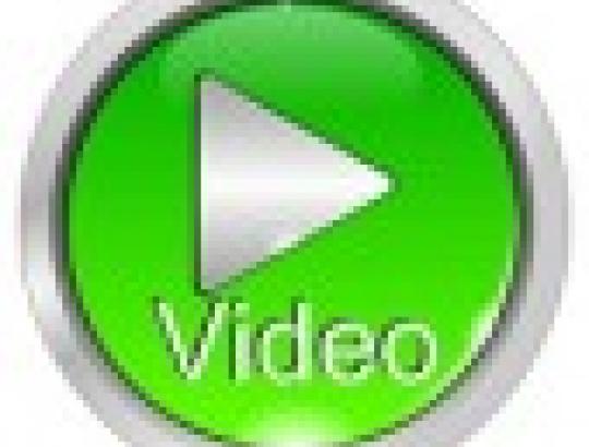 Video: Miškas yra arčiau jūsų nei atrodytų