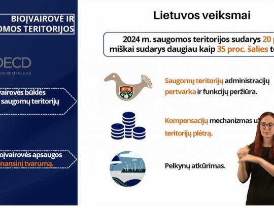 EBPO rekomenduoja įvesti atlygį už ekosistemų paslaugas ir tvarų miškų valdymą