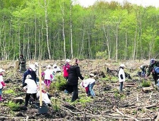  "Likmerė" miškasodžio šventės metu atsodino 2ha privataus miško