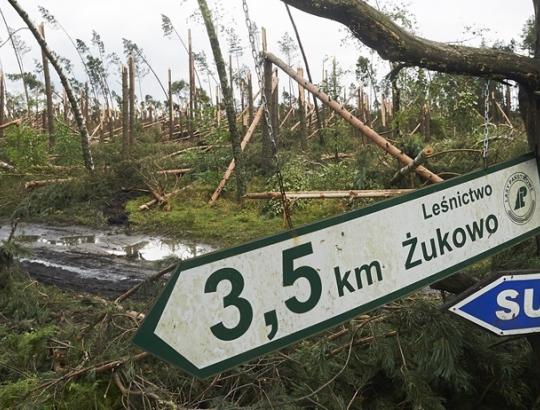 Lenkijoje siautusios vėtros stipriai niokojo miškus