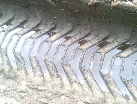 Kėdainių raj. medienos ruošos bendrovės miškavežiais niokoja kelius ir pievas