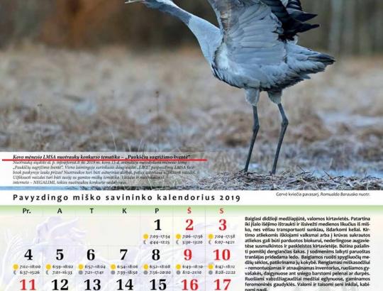 Kovo mėn. nuotraukų konkurso tema „Paukščių sugrįžimo šventė“