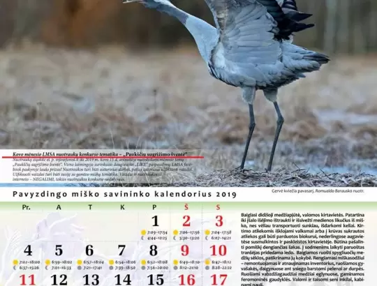 Kovo mėn. nuotraukų konkurso tema „Paukščių sugrįžimo šventė“