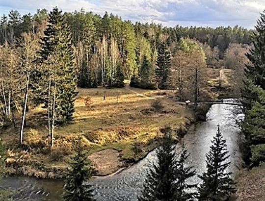 ✅ EUROFORESTER išvykos į Lietuvą įspūdžiai 2020.03.09– 2020.03.13