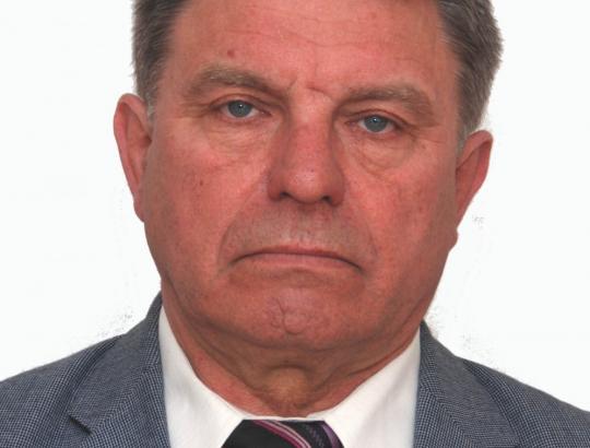 Nuspręsta skirti reikiamas lėšas naujų miškų įveisimui 