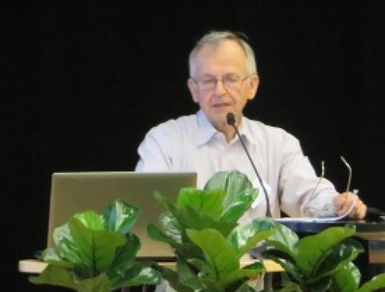 prof.A.Kuliešis. Realizavus Aplinkos ministerijos sumanymus, ~45 proc. miškų ūkinė veikla bus griežtai suvaržyta arba iš viso uždrausta
