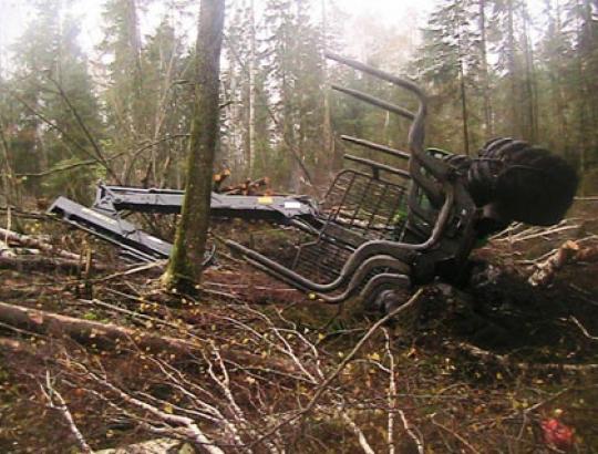 Dėl akivaizdžių darbo saugos taisyklių pažeidimų-beprasmės medkirčių žūtys