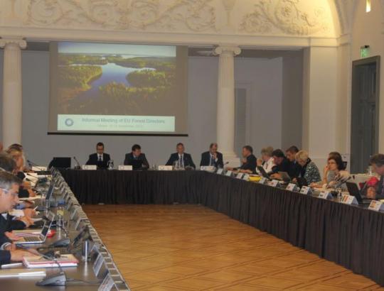 Vilniuje tariasi ES šalių institucijų, atsakingų už miškus, vadovai