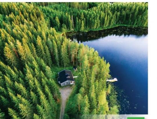 FAO paskelbtoje ataskaitoje atskleidžiama - kas yra miškų savininkai