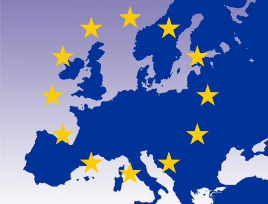 ✅ Briuselyje aptarėme ES miškų politikos aktualijas