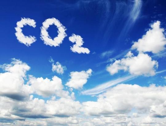 Kiek milijardų prireiks kovai su klimato kaita Lietuvoje?