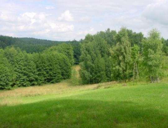 LŽ: Užsieniečiai nesiveržia pirkti  smulkių lietuvių žemės sklypelių