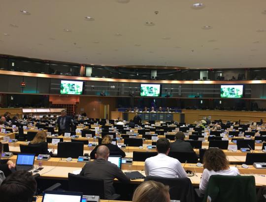 Siekiama suteikti papildomą impulsą Europos Sąjungos miškų strategijai