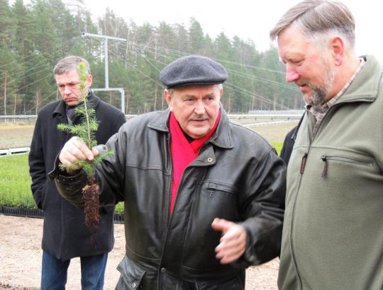Baltijos šalių miškininkų sąjungų konferencijoje aptartos privačių miškų plėtros perspektyvos