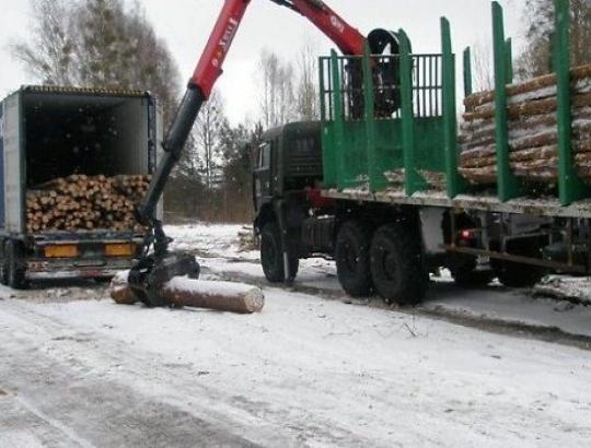 Medvežes keičia konteineriai