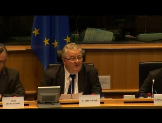 Europos Parlamente svarstoma nauja ES miškų strategija – miškams ir su mišku susijusiam sektoriui 