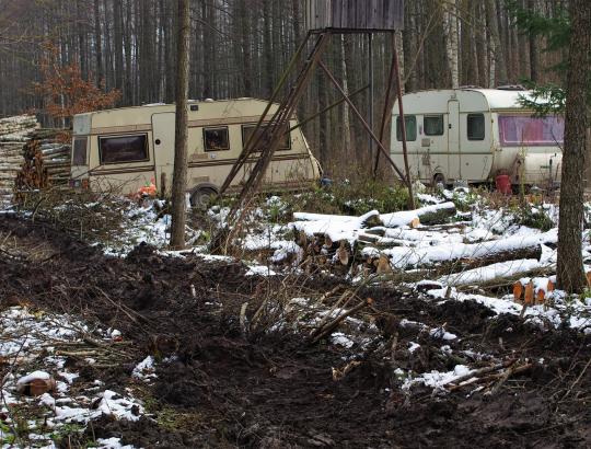 Miško darbų rangovų asociacija sulaukė Aplinkos ministerijos paaiškinimų, kas laukia rangovų