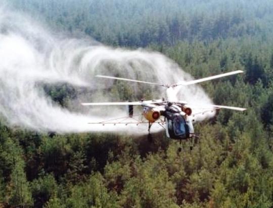 Pietų Lietuvos pušynams- spyglius graužiančio kenkėjo išplitimo grėsmė 2012 m. pavasarį 