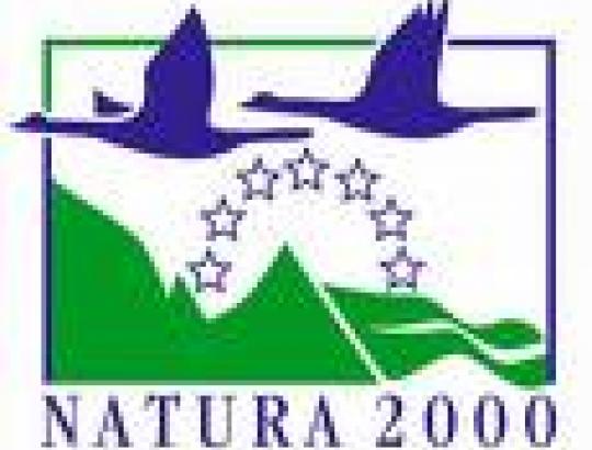 VSTT: kaip pasinaudoti Europos Sąjungos parama „Natura 2000“ miškų teritorijose
