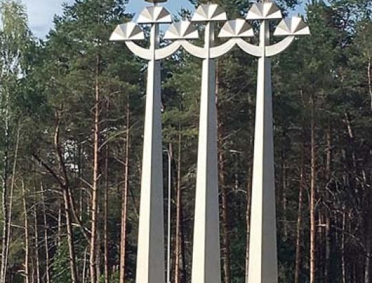 Druskininkų miesto plėtra- privačių miškų sąskaita?