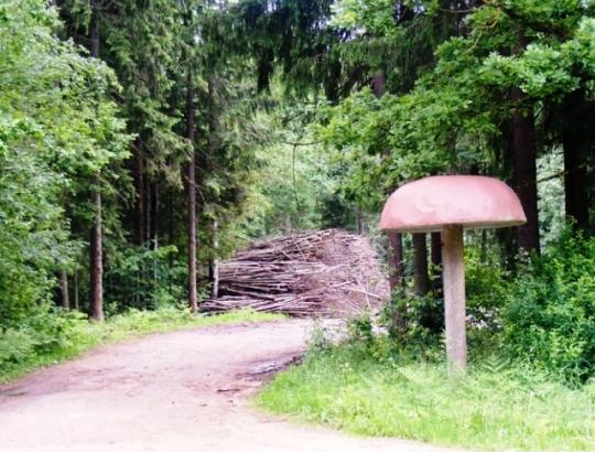 LR Vyriausybė numato urėdus  skirti 5 m. kadencijai 