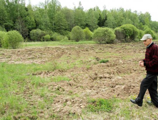 Šiaulių raj. ūkininkai neapsigina nuo medžiotojų savivalės 