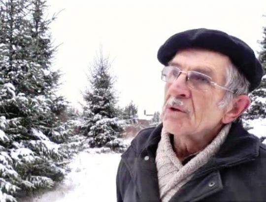 dr.Eduardas Mačys: Kalėdų eglutę užauginti- ne vienerių metų triūsas