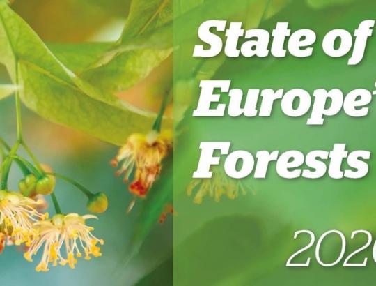 Parengta išsami Europos miškų būklės 2020 ataskaita.