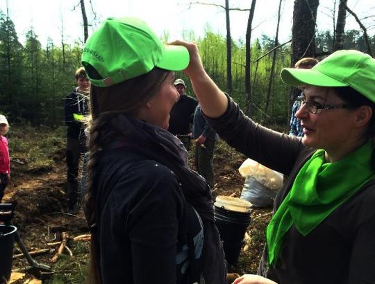 Pavasarinis miškasodis - ne už kalnų