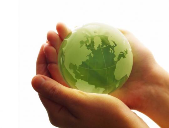 St.Mizaras. Miškai aplinkos būklės Jeilio universiteto vertinimuose