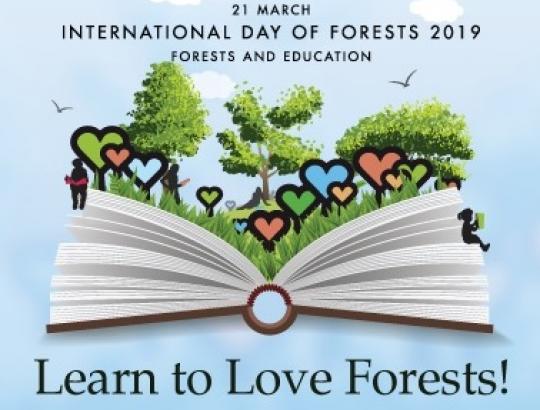 Kovo 21 d.- Pasaulinė miškų diena. S V E I K I N A M E !