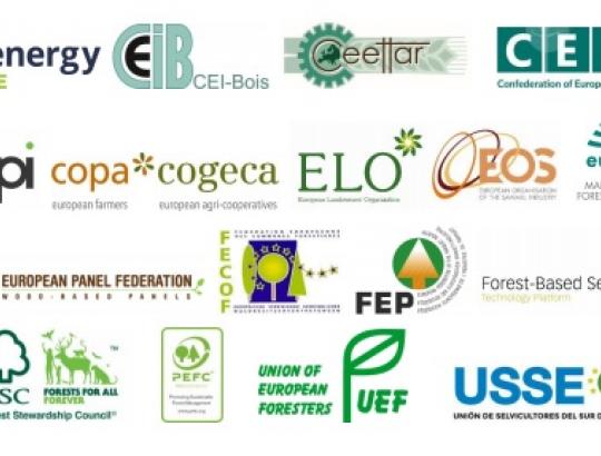 ✅ Europinės miškų sektorių atstovaujančios organizacijos kreipėsi į Europos Parlamentą