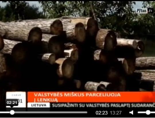 "Reporteris": aferistai iš Lenkijos įsisuko į Lietuvos miškus