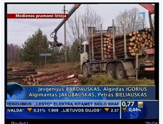 Po urėdijose vykusių medienos pardavimo konkursų - rinkos traukimosi prognozės