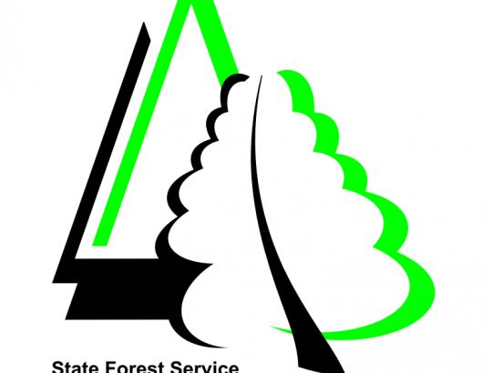 VMT pristatė Miškų kadastro elektronines paslaugas miškų savininkams