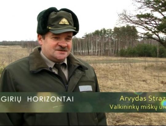 "Girių horizontai" apie privačių miškų savininkus
