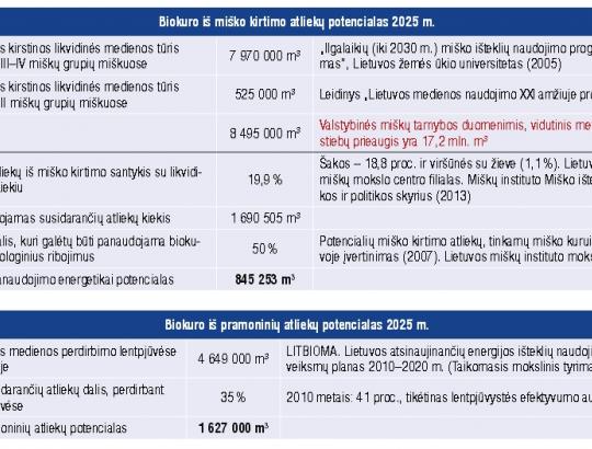 M.Nagevičius: Biokuro rinka. I dalis.Ar gresia miškų deginimas vardan energetikos?