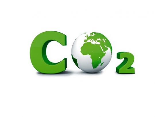 Seimo KRK atidėjo sprendimą dėl svarstomų klimato kaitos valdymo priemonių