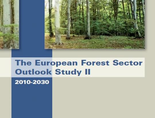 Parengti Europos miškų sektorius vystymosi scenarijai iki 2030 m.